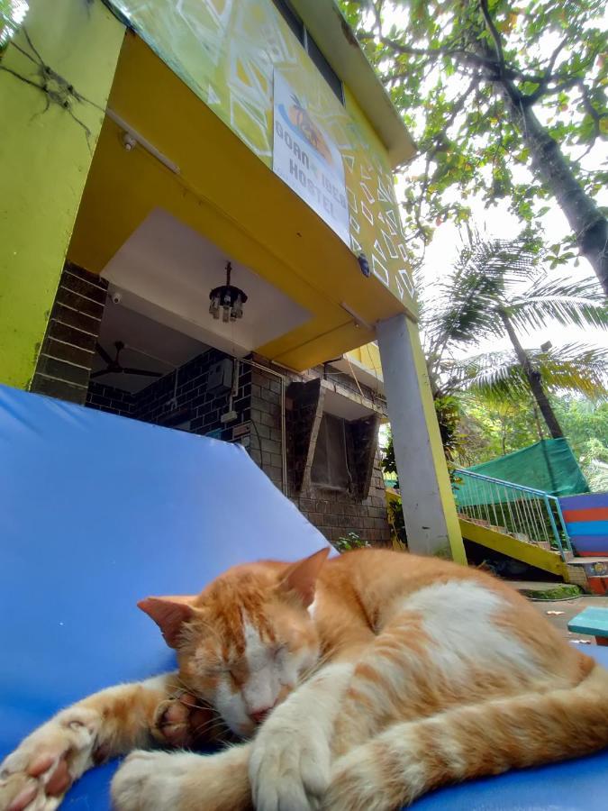 Goanvibes Hostel Anjuna Ngoại thất bức ảnh